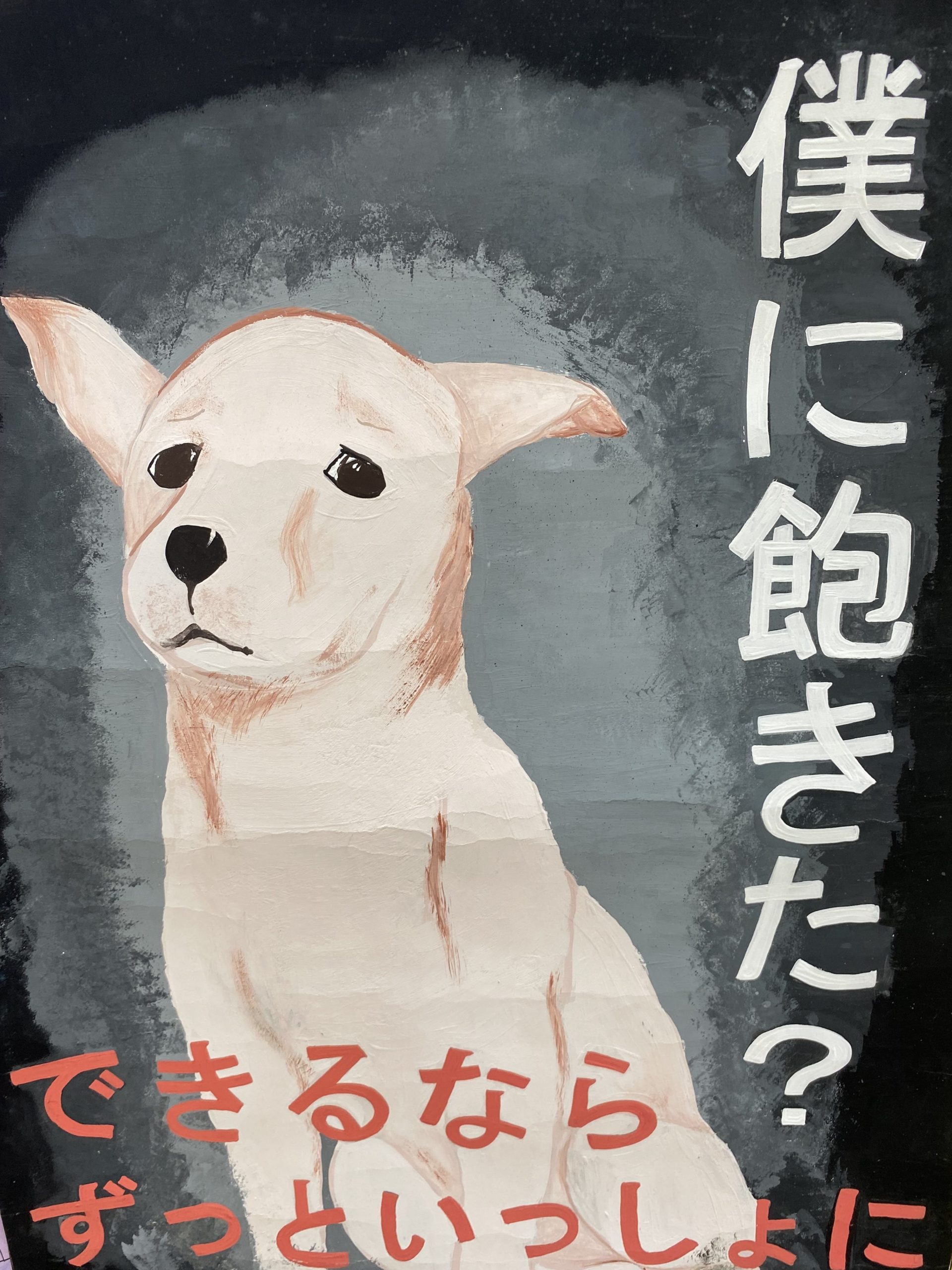 動物に対して自分たちができること。